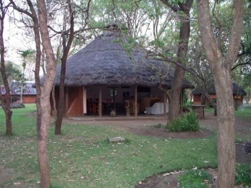 chuck's zambia 011 (Large)